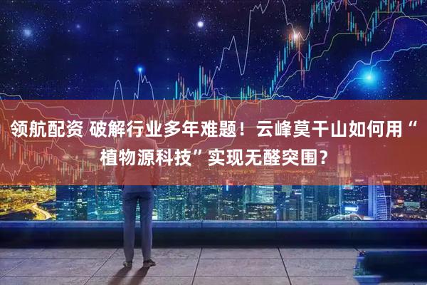 领航配资 破解行业多年难题！云峰莫干山如何用“植物源科技”实现无醛突围？